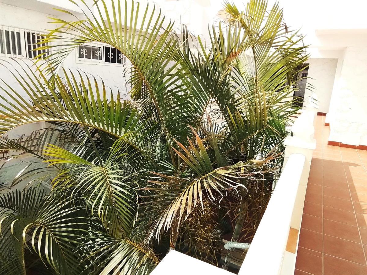 Oasis Marina Apartament 德尔锡伦西奥海岸 外观 照片